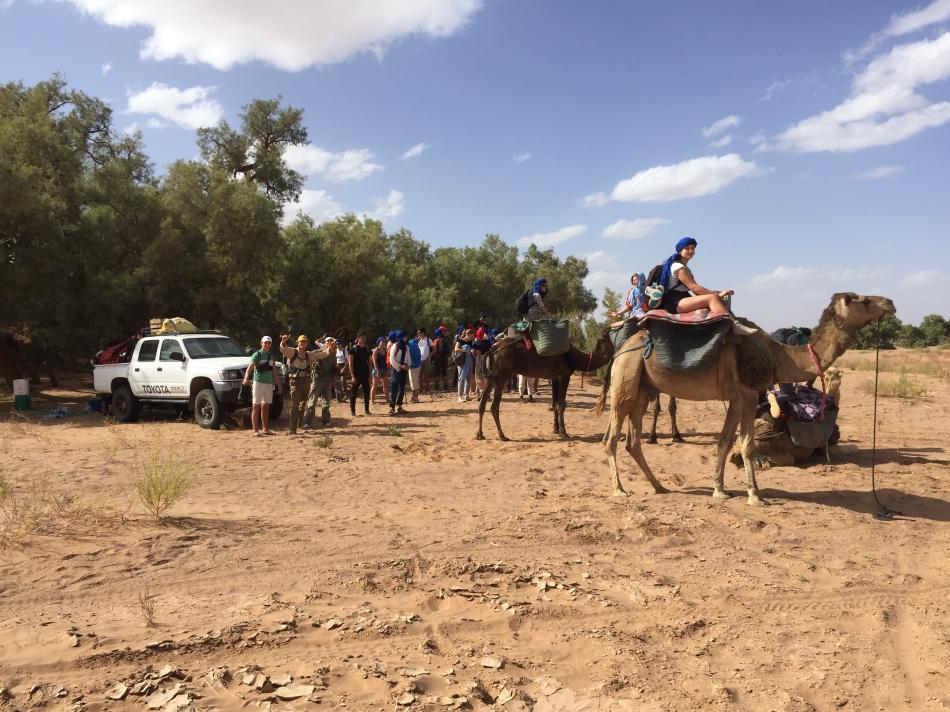 Trek in the Moroccan desert by camel