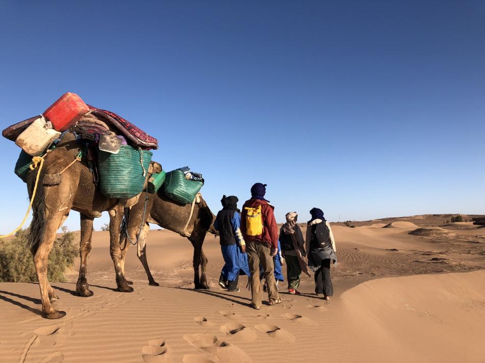 Trek dans le desert marocain en dromadaire